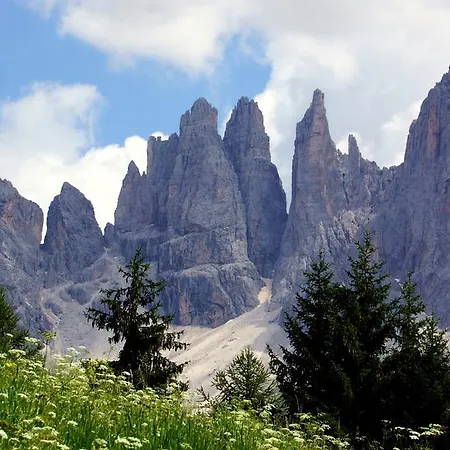 Meisules Selva di Val Gardena